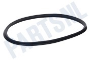 Horn 1251142103 Wasdroger Viltband Met rubber voorzijde geschikt voor o.a. LTH57800, LTH58800