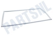 Castor 2248007557 Vriezer Afdichtingsrubber Wit 969,5x516,5mm geschikt voor o.a. S24424DT, S19336I