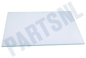 Leonard 2249121043 Vriezer Glasplaat Compleet geschikt voor o.a. AGS58800S1, FRYSA30282343