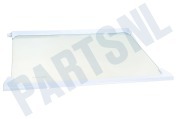 Beko 4617920500 Glasplaat Vriezer Glasplaat koelkast geschikt voor o.a. CS240, DS250, RBI1400
