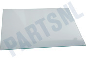 Hisense 459397 Koelkast Glasplaat geschikt voor o.a. FN6192PB, FNE6192CW
