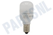 Cylinda C00563962 Koelkast Lamp geschikt voor o.a. ARGR715S, KG301WS, WBM3116W