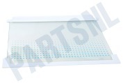 Zanker-electrolux 2251374530 Glasplaat Vriezer Glasplaat incl. strips geschikt voor o.a. ZI9225A, ZI2404, ERO2286, ZI9218FFA