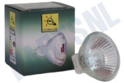 Alternatief 4050300443935  Halogeenlamp Halogeen steek lamp 1 st geschikt voor o.a. GU4 12v 10 watt