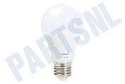 ZLED-2209 Dimbare E27 LED Lamp Flame Wit