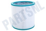 Dyson 96810304 Filter Luchtbehandeling Filter voor luchtreiniger geschikt voor o.a. TP02, TP03