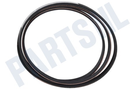 Universeel Poly-V-snaar 1333 PJ4