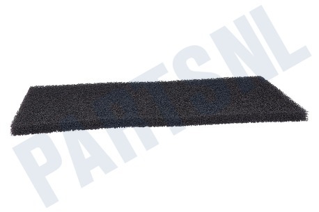 Blomberg Wasdroger Filter 220x125mm