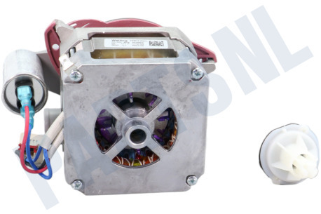 Beko Vaatwasser Pomp Circulatiepomp