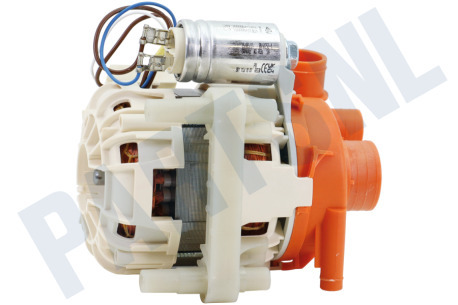 Smeg Vaatwasser Pomp Circulatie