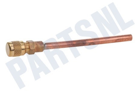 Hotpoint Koelkast 279567, C00279567 Nippel Vulnippel 6mm
