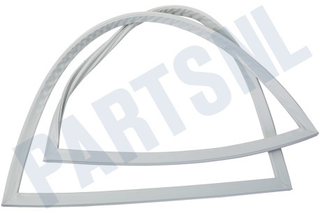Schaub lorenz Koelkast 4668511800 Afdichtingsrubber Koelkast