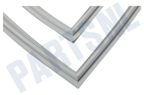 Schaub lorenz Koelkast 4669521000 Afdichtingsrubber Koelkast