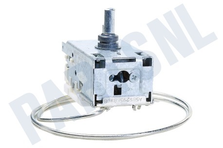Hanseatic Koelkast Thermostaat A13 0447R D415