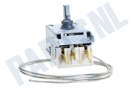 Hanseatic Koelkast Thermostaat A13 0447R D415