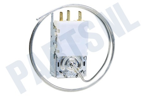 Hanseatic Koelkast Thermostaat A13 0447R D415