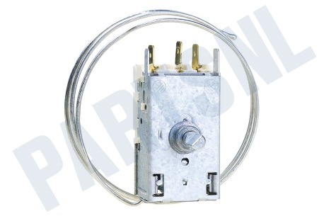 Bauknecht Koelkast Thermostaat A13 0092K C046 Ranco