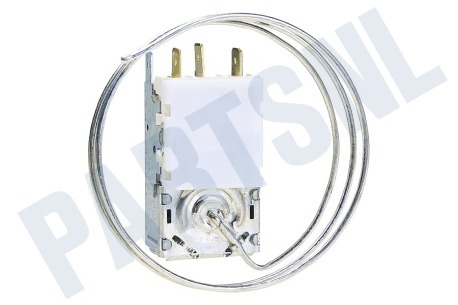 Bauknecht Koelkast Thermostaat A13 0092K C046 Ranco