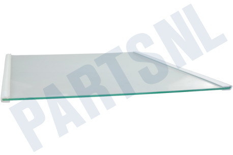 Samsung Koelkast DA97-13502G Glasplaat Compleet, Koelkast, RL31/29 Best,Silver
