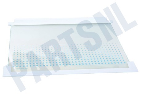 Zanker-electrolux Koelkast Glasplaat Glasplaat incl. strips