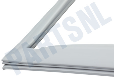 LG Koelkast ADX73591430 Deurrubber Vriezer