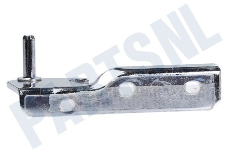 Haier Koelkast 0060117189B Scharnier Midden