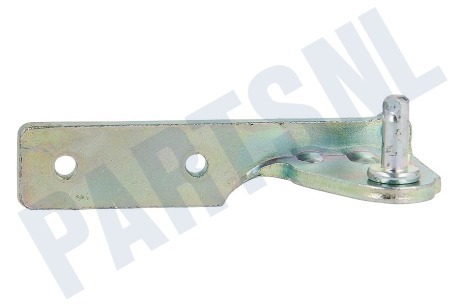 Haier Koelkast 0060109527 Scharnier midden