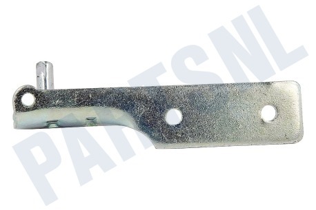 Haier Koelkast 0060109527 Scharnier midden