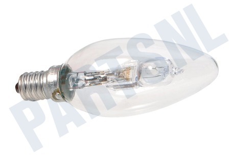 Etna Halogeenlamp Halogen Classic B 20W