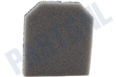 Electrolux Stofzuiger Filter Schuimfilter