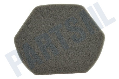 Bosch Stofzuiger 12012937 Schuimfilter