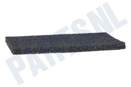 Samsung Stofzuiger DJ63-00508E Filter Schuimfilter, klein
