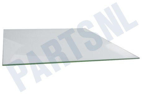 Progress Oven-Magnetron 140040025011 Deurglas Binnenkant
