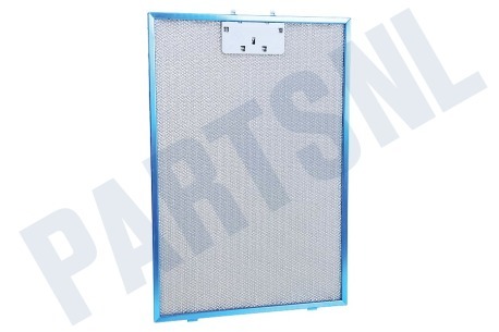 Bosch Afzuigkap 742967, 00742967 Metalen Vetfilter 265x388mm
