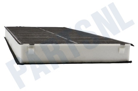 Bosch Afzuigkap 296178, 00296178 Filter LZ 34000 Aktief koolstof filter