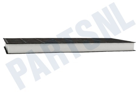 Bosch Afzuigkap 296178, 00296178 Filter LZ 34000 Aktief koolstof filter