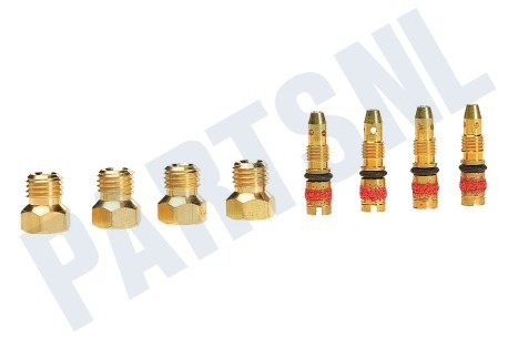 Bosch Fornuis 603559, 00603559 Sproeier Sproeierset butaan
