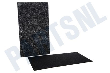 DeLonghi Luchtbehandeling Filter Koolstoffilter 315x180mm