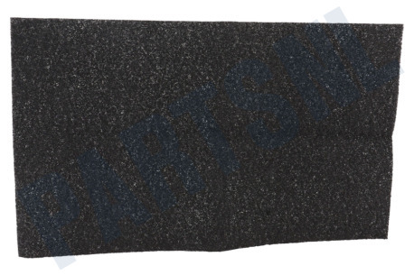 Gorenje Filter Koolstoffilter 300x520mm