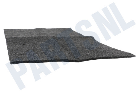 Gorenje Filter Koolstoffilter 300x520mm