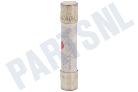 Samsung Oven-Magnetron 3601-000448 10A Zekering