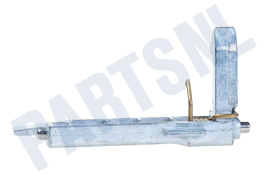 Bosch Wasmachine 623234, 00623234 Deurhaak Met veer