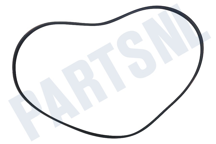 Indesit Wasmachine 119126, C00119126 Snaar 6PJE 1201