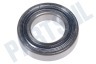 SKF Lager 6006 ZZ 30x55x13