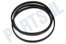 Universeel Poly-V-snaar 1200 J4
