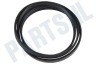Hutchinson Wasmachine Poly-V-snaar 1200 J6