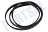 Hutchinson Wasmachine Poly-V-snaar 1254 PJ4
