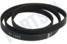 Universeel Poly-V-snaar 1208 J6