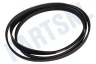Universeel Wasmachine Poly-V-snaar geschikt voor Miele 1333 PJ J6