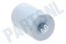 Universeel Condensator 30 uF